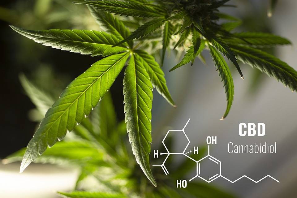 ¿Qué es el CBD y qué beneficios tiene?